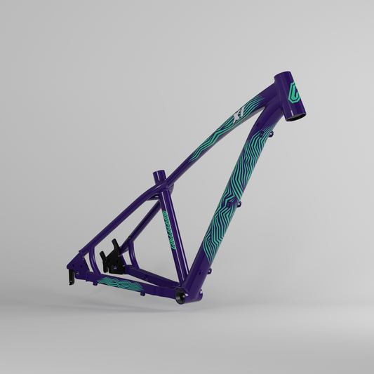 X1 MARCO MENTA Y ARÁNDANO